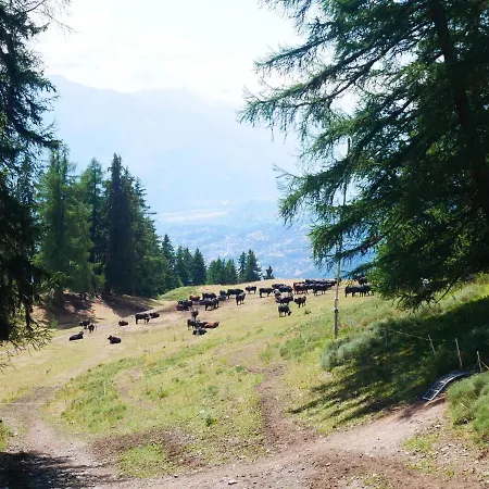 Near Slopes * Crans-Montana