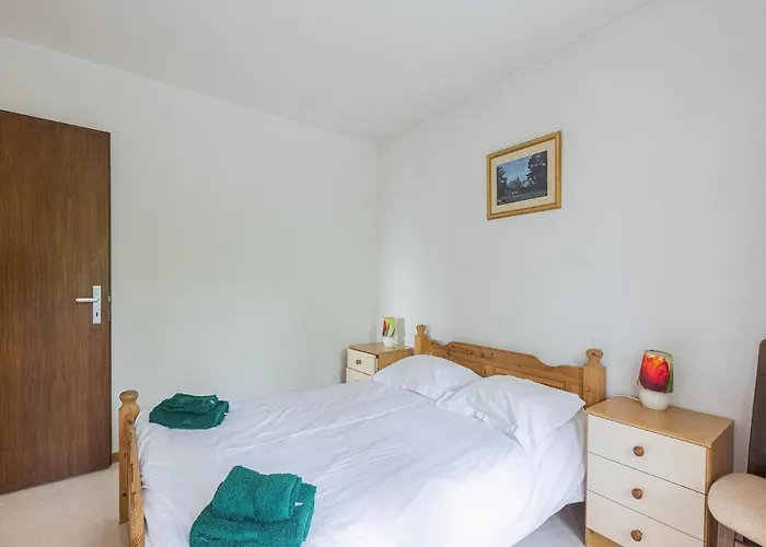 Near Slopes 克莱恩 蒙塔纳