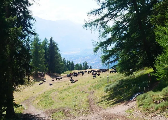 Near Slopes * Crans-Montana