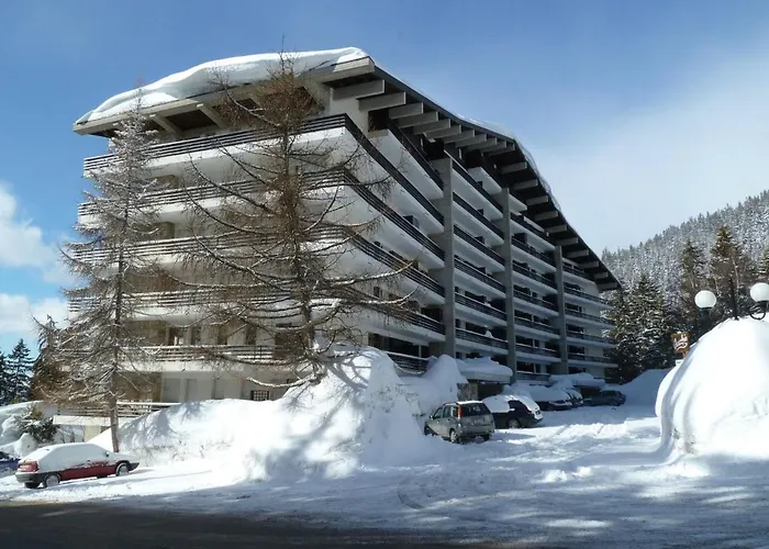 Daire Near Slopes *